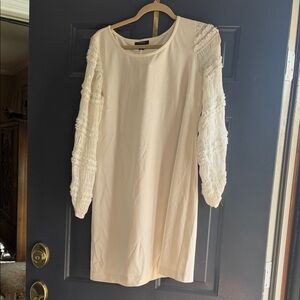 Alfani Cream Dress with Textured Sleeves